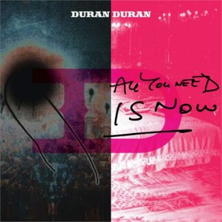 Duran Duran - All You Need Is Now [2xLP]