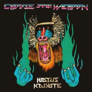 Hiatus Kaiyote - Choose Your Weapon [LTD 2xLP+7"]