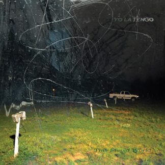 Yo La Tengo - This Stupid World [LP]