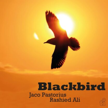 Jaco Pastorius & Rashied Ali - Blackbird [LTD LP] (Translucent Yellow Vinyl)