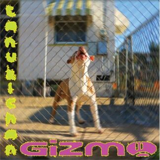 Tanukichan - Gizmo [LP]