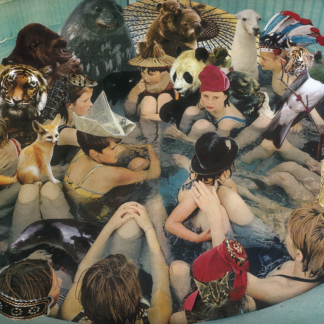 Panda Bear - Person Pitch [2xLP]