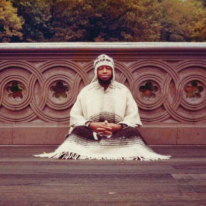 Laraaji - Segue to Infinity [LTD 4xLP]