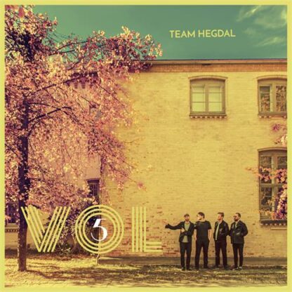 Team Hegdal - Vol 5 [LP]