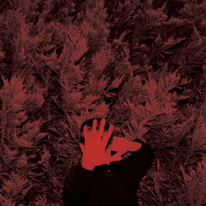Cory Hanson - The Unborn Capitalist From Limbo [LP]
