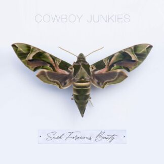Cowboy Junkies - Such Ferocious Beauty [LP]