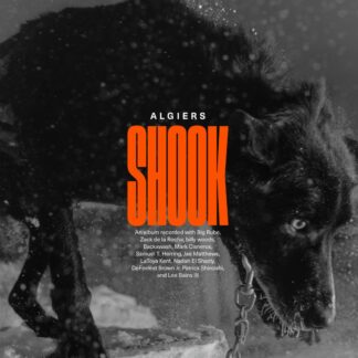 Algiers - Shook [2xLP]