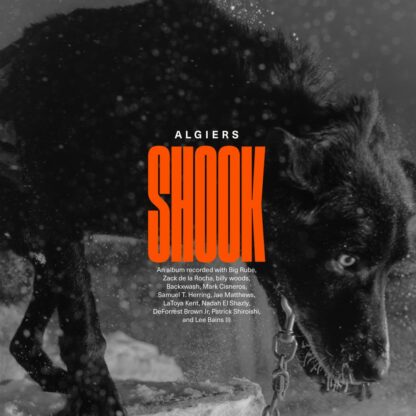 Algiers - Shook [2xLP]