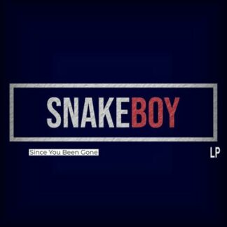 Snakeboy - Since You Been Gone [LP]