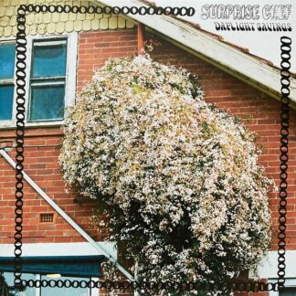 Surprise Chef - Daylight Savings [LP]