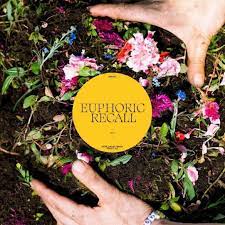 Braids - Euphoric Recall [LP]
