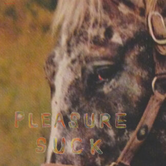 SPIRIT OF THE BEEHIVE - Pleasure Suck [LP] (Transparent Orange Vinyl)