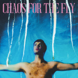 Grian Chatten - Chaos For The Fly [LP]