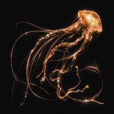 Royal Blood - Back To The Water Below [CD]