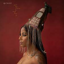 Aja Monet - When The Poems Do What They Do [2xLP]
