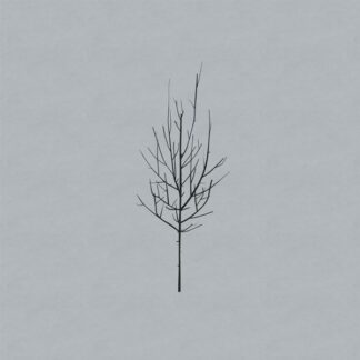 Low - Ones And Sixes [2xLP]