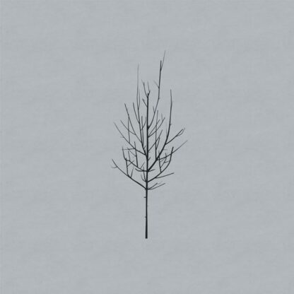 Low - Ones And Sixes [2xLP]