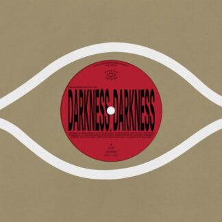 Kieran Hebden & William Tyler - Darkness, Darkness / No Services [12"]