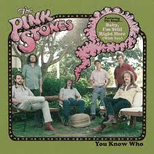 The Pink Stones - You Know Who [LTD LP] (Multi-colored Vinyl)