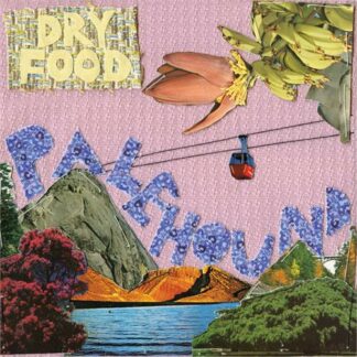 Palehound - Dry Food [LP]