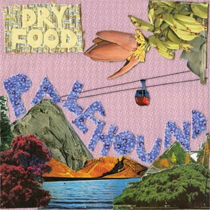 Palehound - Dry Food [LP]
