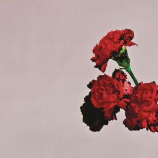 John Legend - Love In The Future [2xLP]
