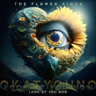 The Flower Kings - Look At You Now [LTD 2xLP]