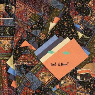 Animal Collective - Isn't It Now? [2xLP]