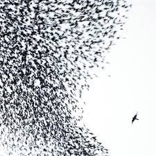 Wilco - Sky Blue Sky [LTD 2xLP] (Sky Blue Vinyl)