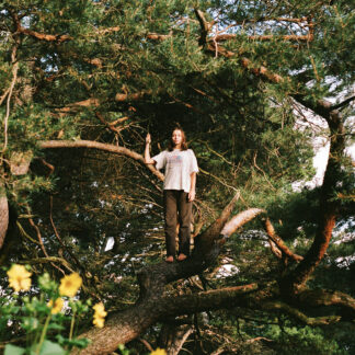 Packs - Melt The Honey [LP]
