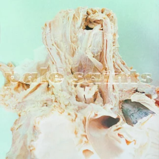 Pale Saints - In Ribbons [LP]