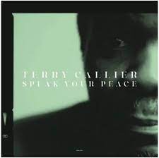 Terry Callier - Speak Your Peace [LTD LP] (Light Transparent Green Vinyl) (RSD23)