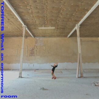 Torres - What An Enormous Room [LTD LP] (Blue & White vinyl)