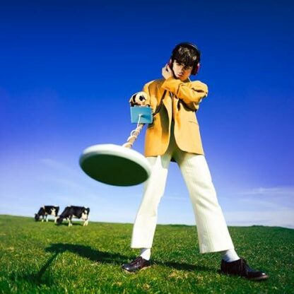 Declan McKenna - What Happened To The Beach? [LP]