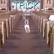 Alex G - Trick [LTD LP+7"]