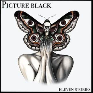 Picture Black - Eleven Stories [CD]