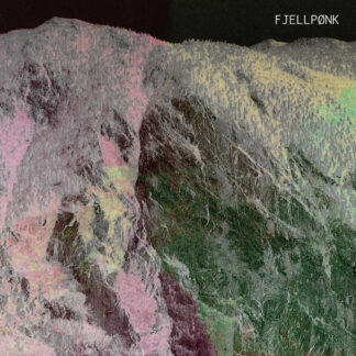 DETBLIRVÆRRE - Fjellpønk [LP]