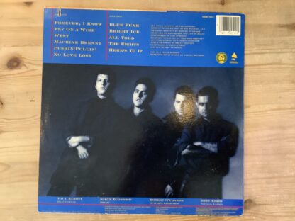 The Effigies - Fly On A Wire [LP] (2. hand) - Bilde 2