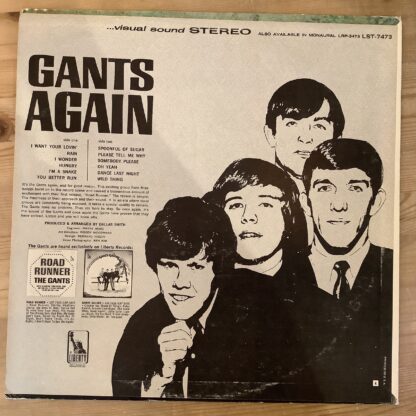 The Gants - Gants Again [LP] (2. hand) - Bilde 2