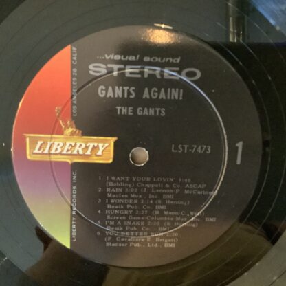 The Gants - Gants Again [LP] (2. hand) - Bilde 3