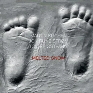 Martin Küchen, Jon Rune Strøm & Tollef Østvang - Melted Snow [LP]