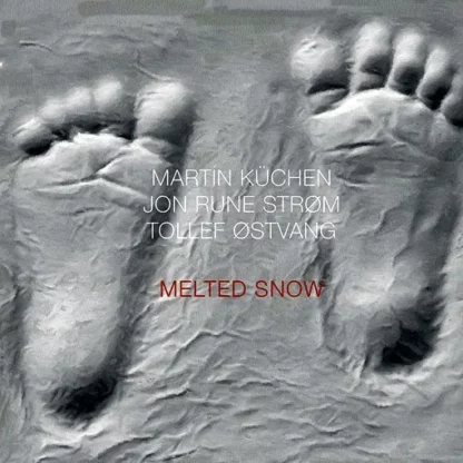 Martin Küchen, Jon Rune Strøm & Tollef Østvang - Melted Snow [LP]