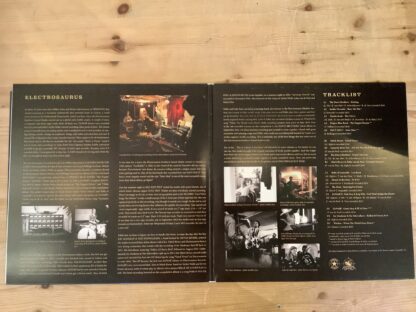 Various Artists - Electrosaurus [LTD 2xLP] (Gold Vinyl) (2. hand) - Bilde 3