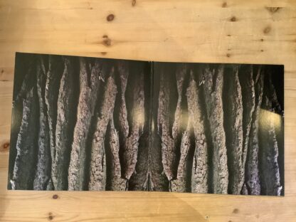 Fallulah - The Black Cat Neighbourghood [LP] (2. hand) - Bilde 3