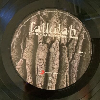 Fallulah - The Black Cat Neighbourghood [LP] (2. hand) - Bilde 6