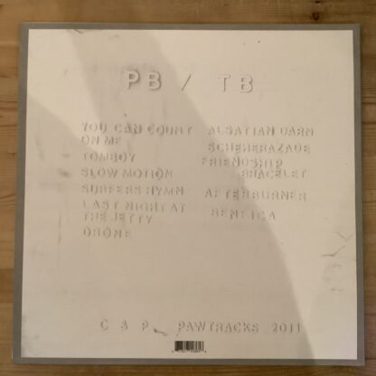 Panda Bear - Tomboy [LTD LP] (White Vinyl) (2. hand) - Bilde 2