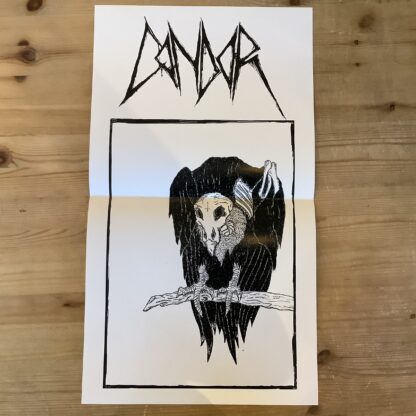 Condor - Condor [LTD LP] (Splatter Vinyl) (2. hand) - Bilde 6