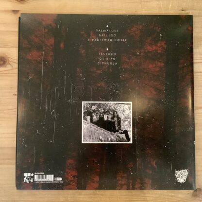 Mammoth Weed Wizard Bastard - Y Proffwyd Dwyll [LP] (Seafoam Green Vinyl) (2. hand) - Bilde 2