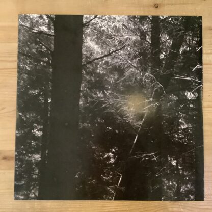 Mammoth Weed Wizard Bastard - Y Proffwyd Dwyll [LP] (Seafoam Green Vinyl) (2. hand) - Bilde 4