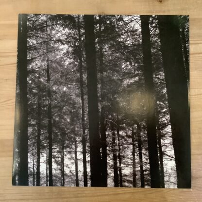 Mammoth Weed Wizard Bastard - Y Proffwyd Dwyll [LP] (Seafoam Green Vinyl) (2. hand) - Bilde 3